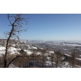 Чемпионат России по Пара-Ски - 1.jpg